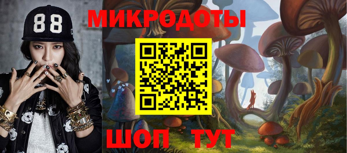 Галлюциногенные грибы ЛСД Гудермес